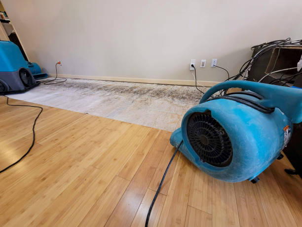 Professional Basement Flood Cleanup technician working in Valley Stream, NY